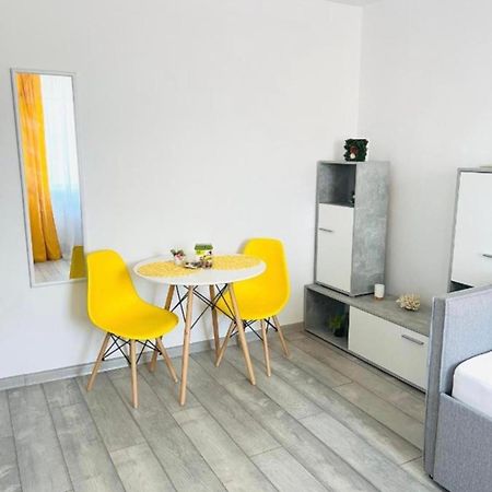 Miha Modern And Central Apartament Arad Kültér fotó