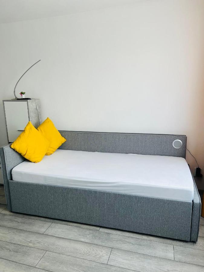 Miha Modern And Central Apartament Arad Kültér fotó