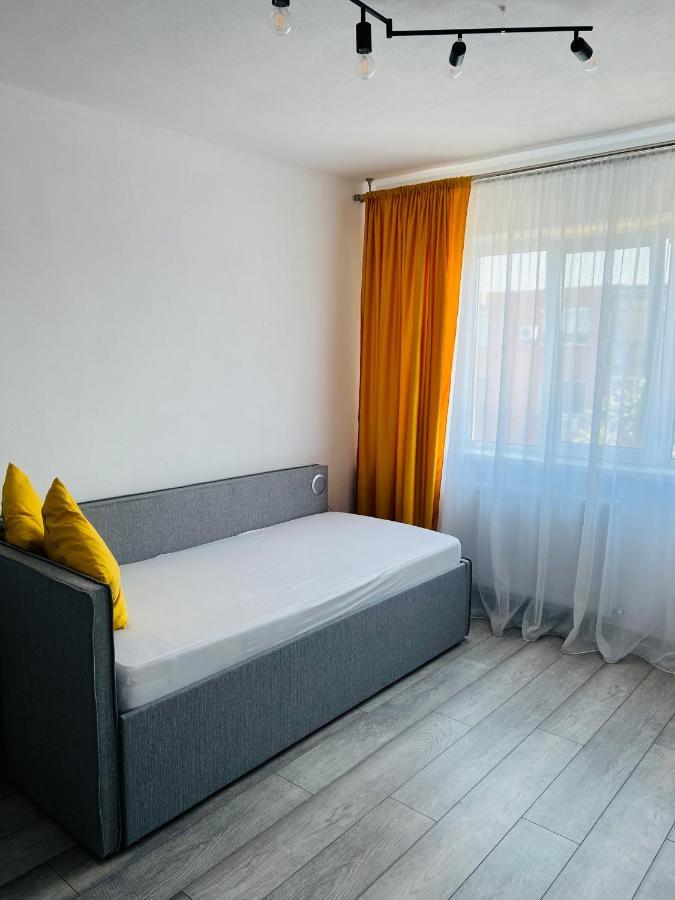 Miha Modern And Central Apartament Arad Kültér fotó