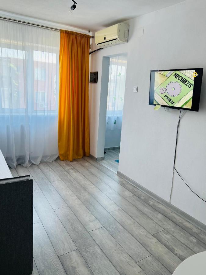 Miha Modern And Central Apartament Arad Kültér fotó